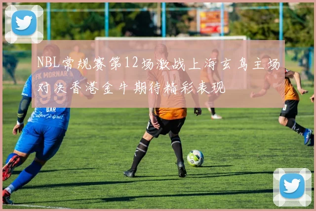 NBL常规赛第12场激战上海玄鸟主场对决香港金牛期待精彩表现