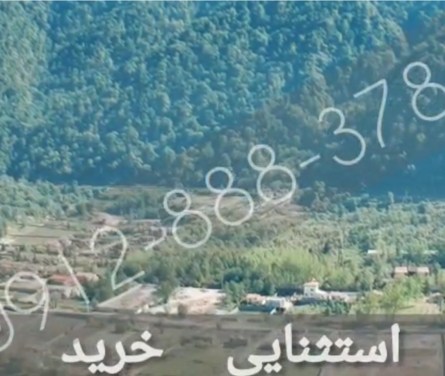 فروش زمین 500 متری در چلک