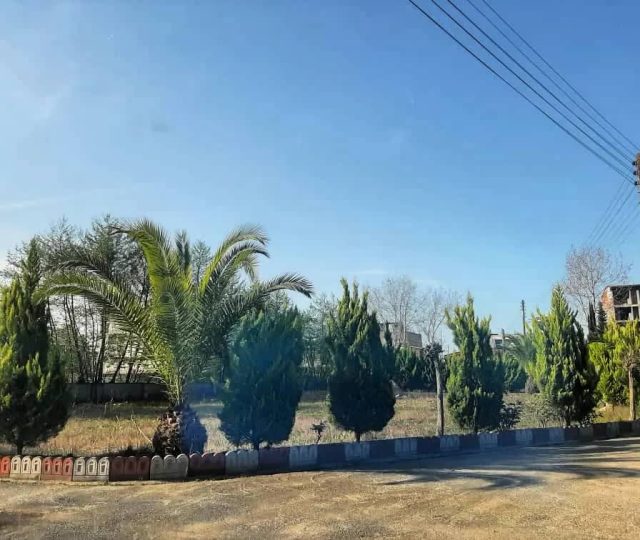 فروش زمین در نوشهر منطقه چلندر