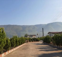 املاک - لیست 17 فروش زمین در نوشهر منطقه چلندر