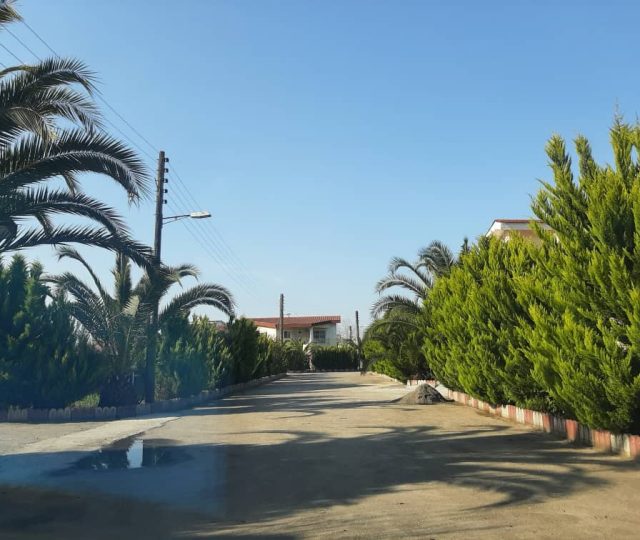 فروش زمین در نوشهر منطقه چلندر