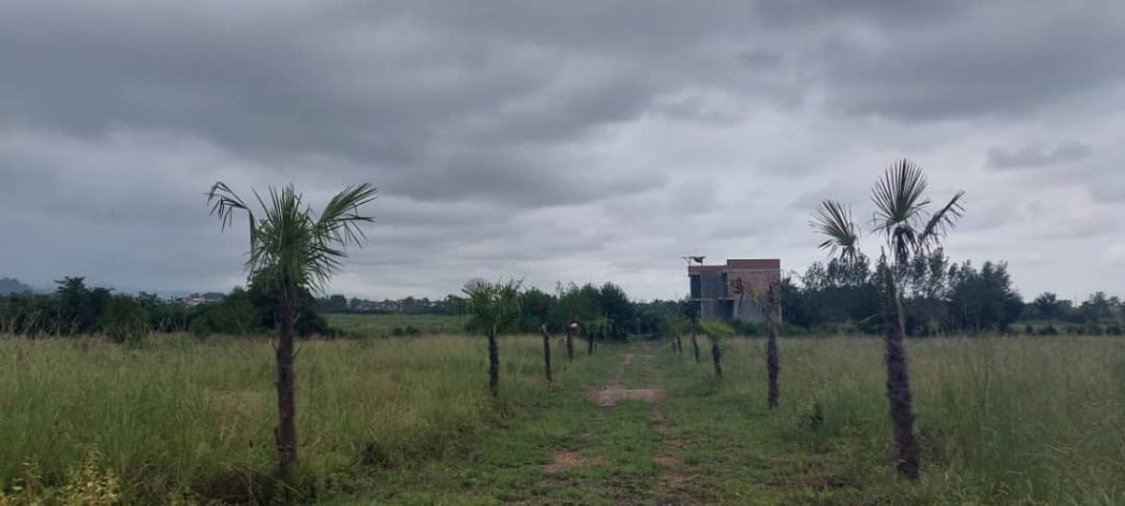 خرید زمین در شمال