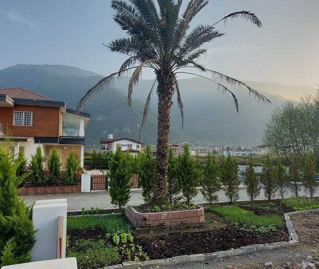 فروش زمین در شمال نوشهر شهرک چلک