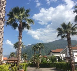 فروش زمین داخل شهرک در نوشهر