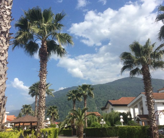 فروش زمین داخل شهرک در نوشهر