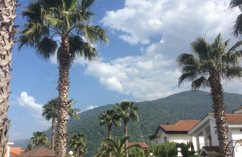 فروش زمین داخل شهرک در نوشهر