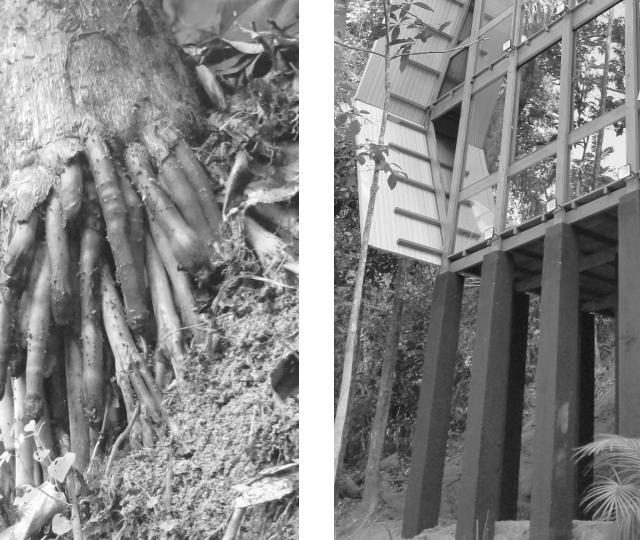 طراحی و ساخت کلبه چوبی