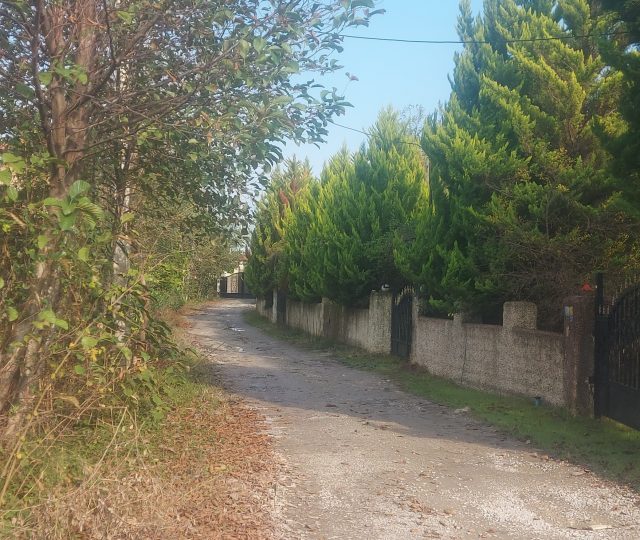 زمین فروشی در نوشهر چلندر