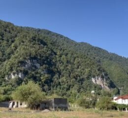 املاک - لیست 3 فروش زمین زیرقیمت چلک