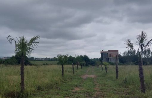 خرید زمین در شمال